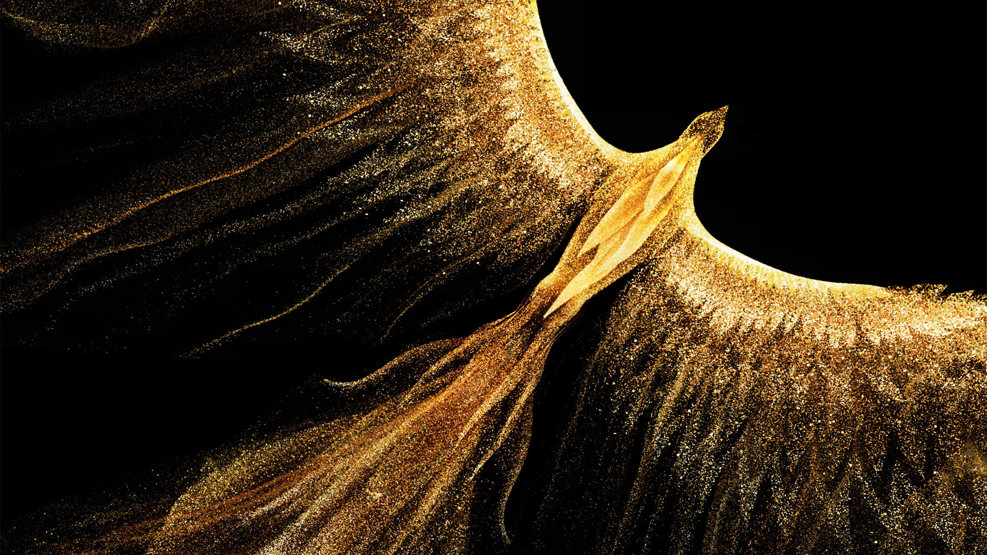 荣耀Magic Vs 金凤凰 自带 内置 高清 电脑 壁纸_高清动物壁纸