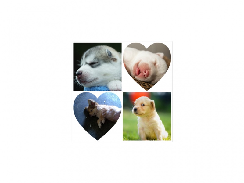 520表白日卖萌装可爱有爱520电脑桌面动物壁纸下载_高清动物壁纸