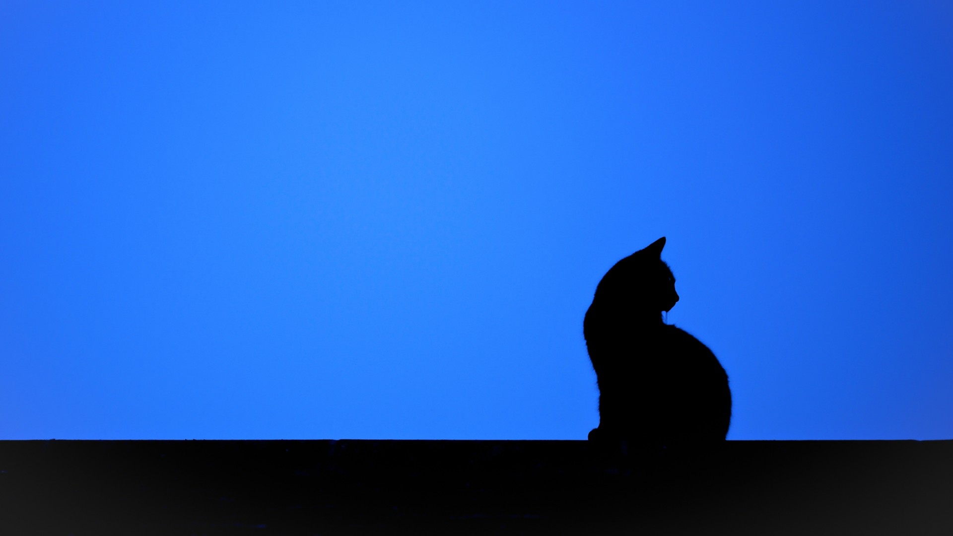 猫的剪影图片电脑桌面动物壁纸下载_高清动物壁纸