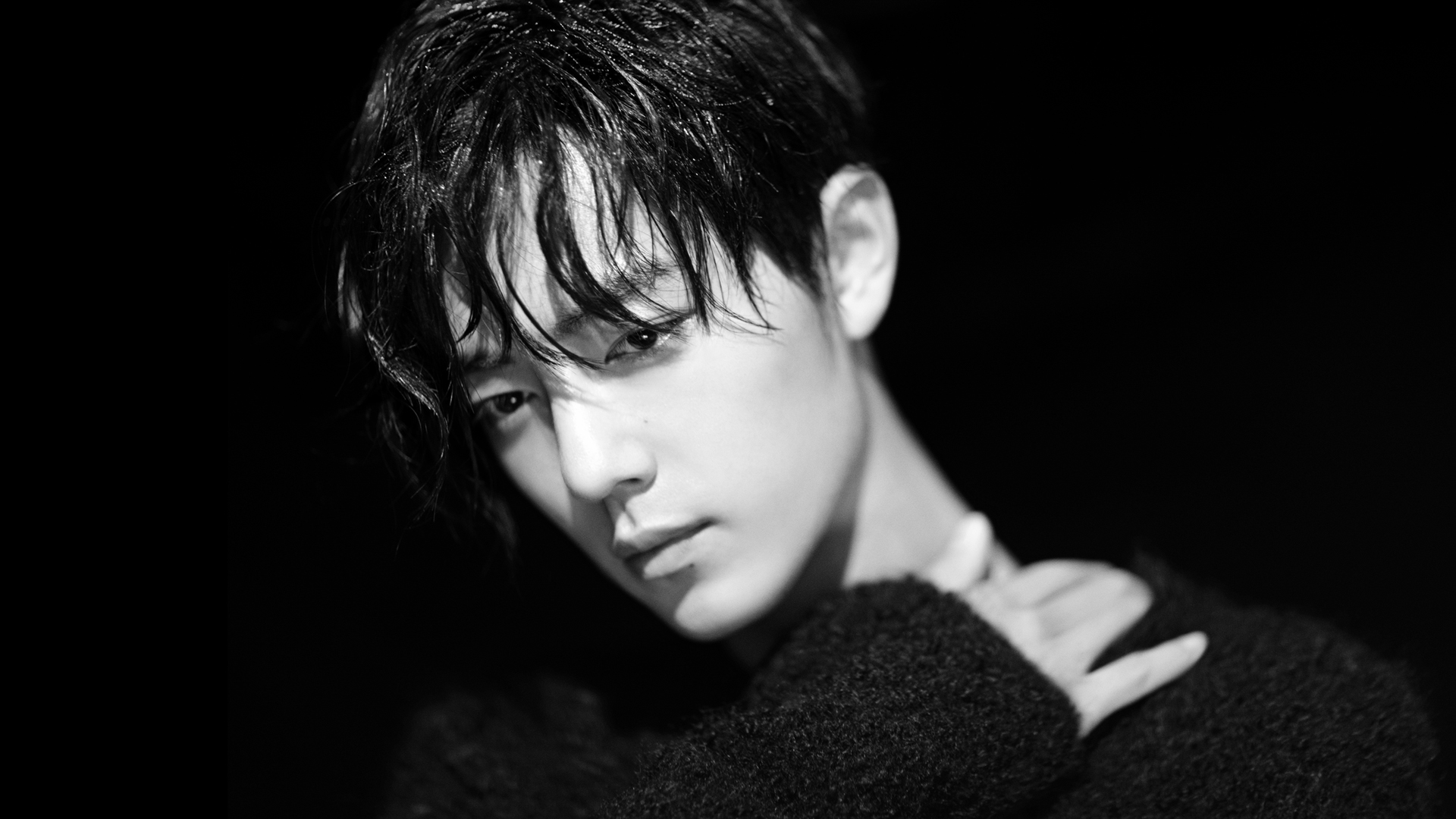 肖战黑白壁纸_高清影视壁纸