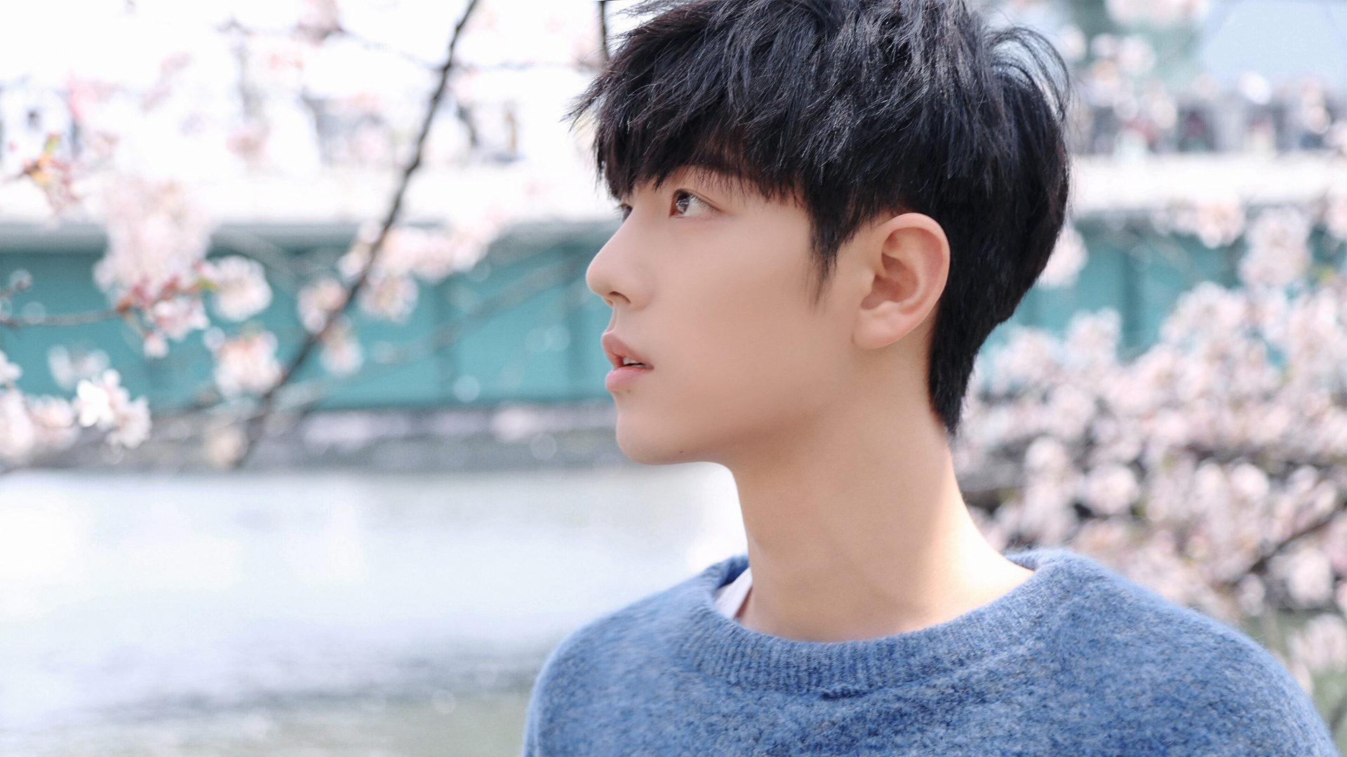 肖战高清壁纸_高清影视壁纸