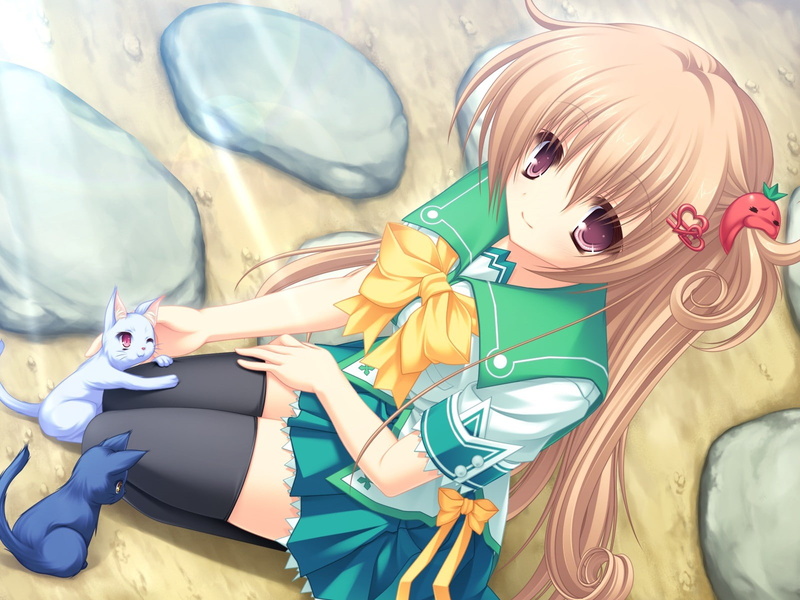 三木-视觉-neko-720P-ryuudou-koi-动漫-小说-ryuutou misaki-视觉小说-neko koi-女孩-动漫女孩高清壁纸