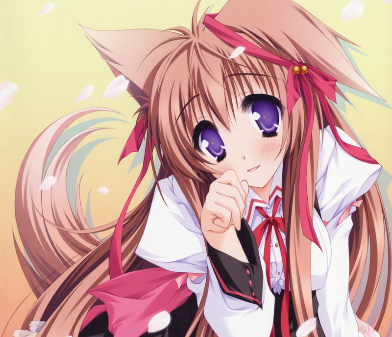 大隈：亲吻我的神-1080P-水户Mashiro-动漫高清壁纸