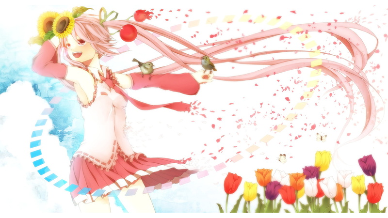 春花-工作室拍摄-图案-颜色-新鲜度-花朵-曲线-花朵-一个人-叶子-形状-1080P-动漫-白色背景-自然高清壁纸