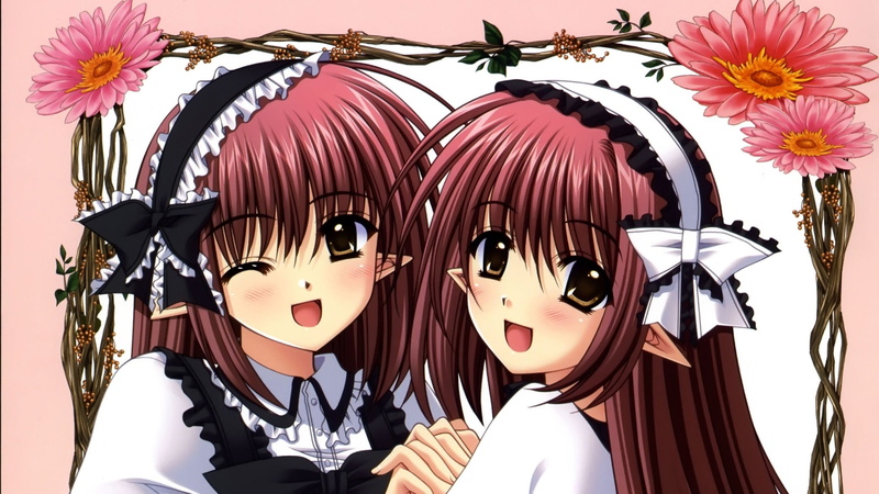 Kikyou（随机播放！）-Lisianthus（随机播放）-1080P-动漫-随机播放！高清壁纸