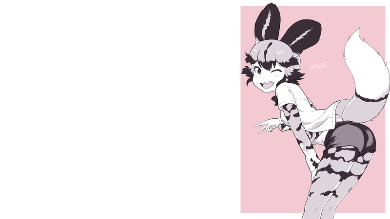 白色背景-简单背景-猫之友-动物耳朵-非洲野狗（猫之友）-狗女孩-动漫-动漫女孩-4K高清壁纸