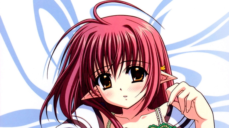 Lisianthus（随机播放！）-1080P-随机播放！-动漫高清壁纸