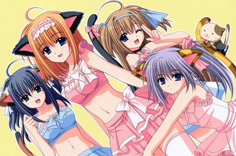 报春花（随机播放！）-凯德·福佑-动漫-随机播放！-4K-樱花雅惠（随机播放！）-松日Ruri高清壁纸