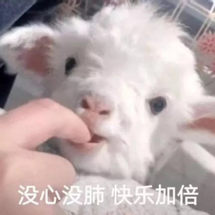 聊天斗图新选择！小羊表情包系列来啦