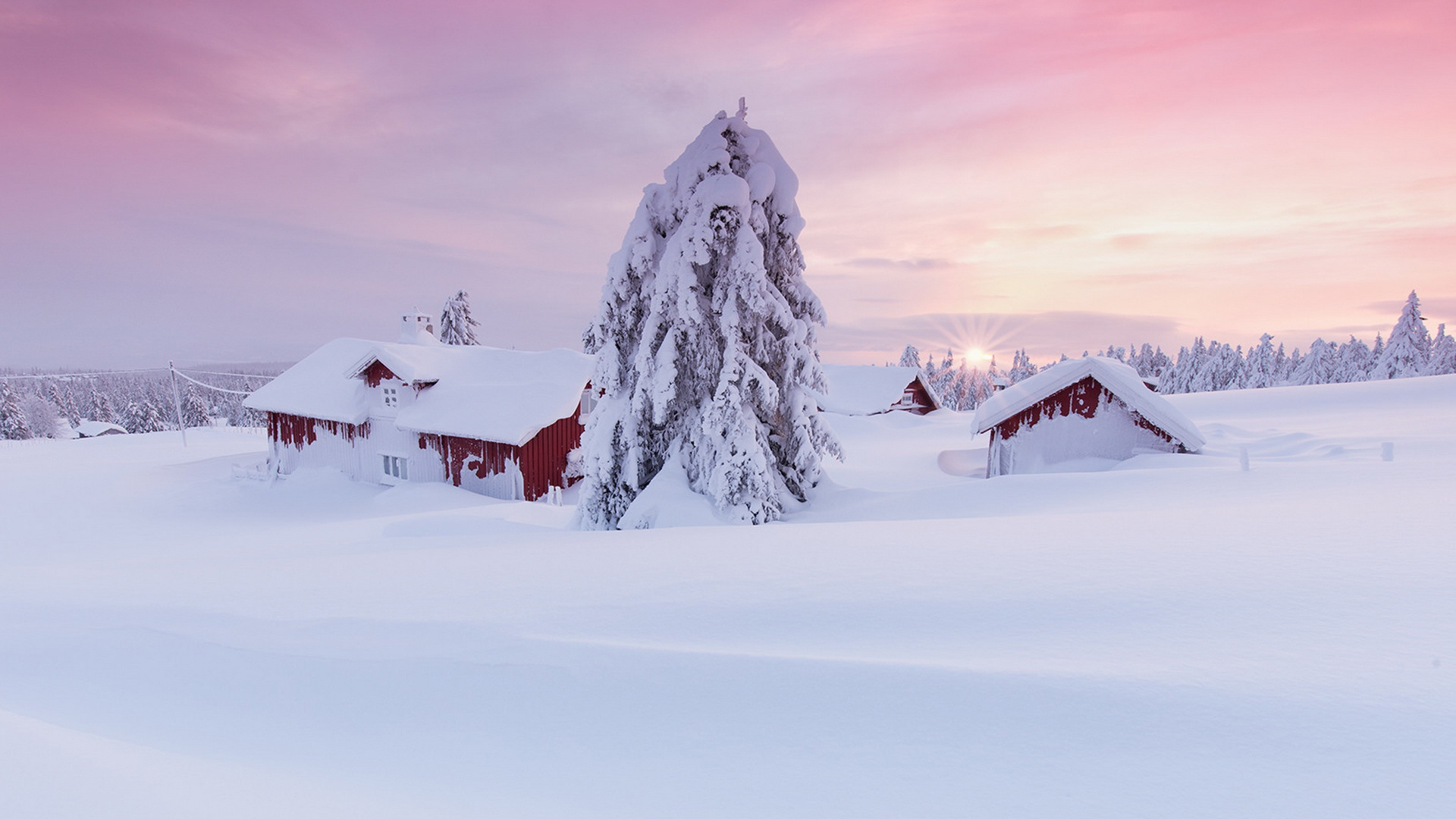 冬日早晨雪后树屋风景 电脑动漫桌面壁纸分享