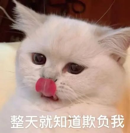 1月17日斗图表情包合集整理