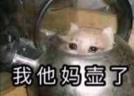 11月4日斗图表情包精选合集