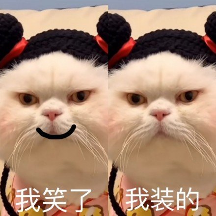 “我哭了我装的”表情包合集来了 斗图必备反向情绪表情