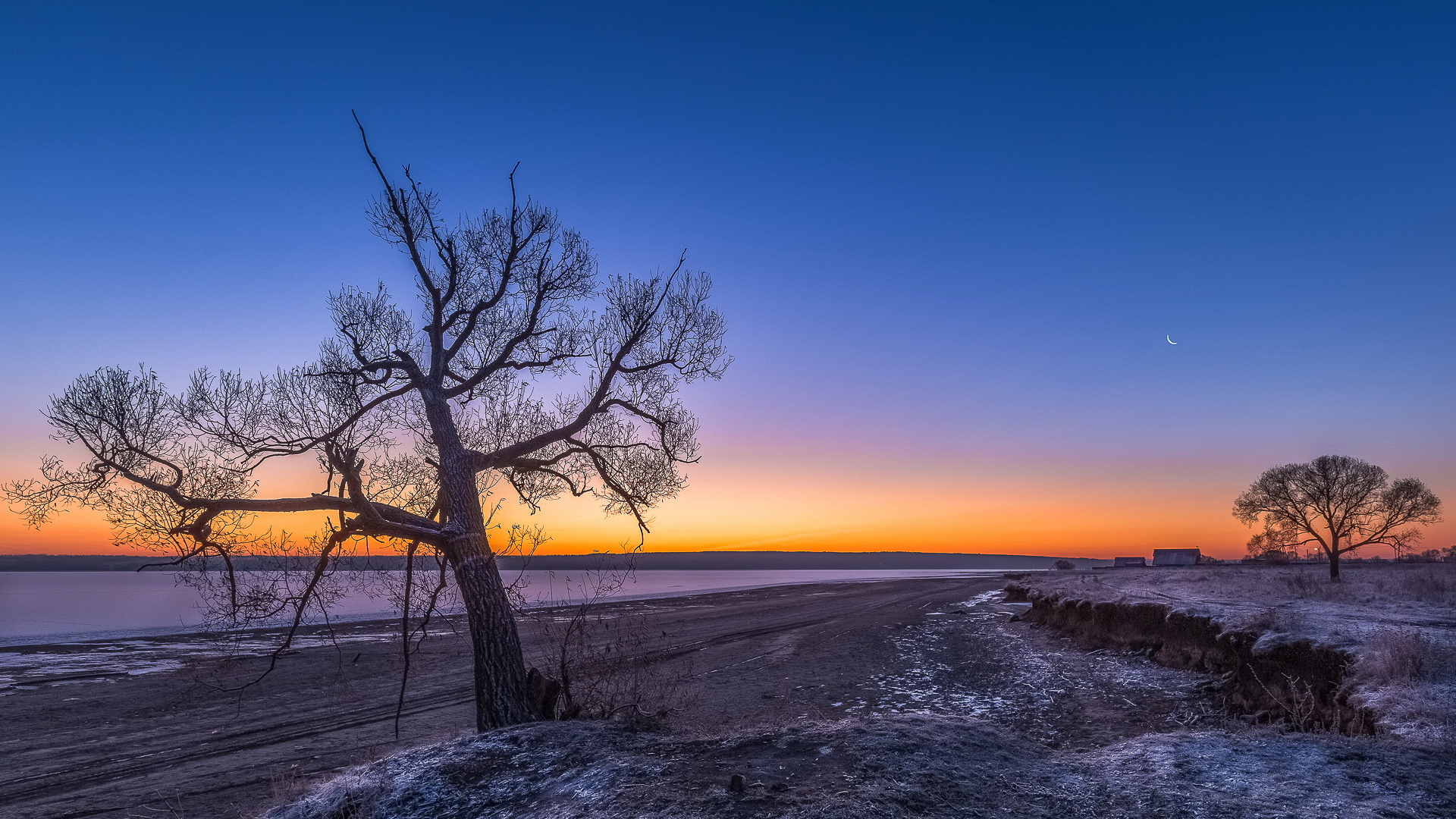冬日落日树木天空电脑壁纸