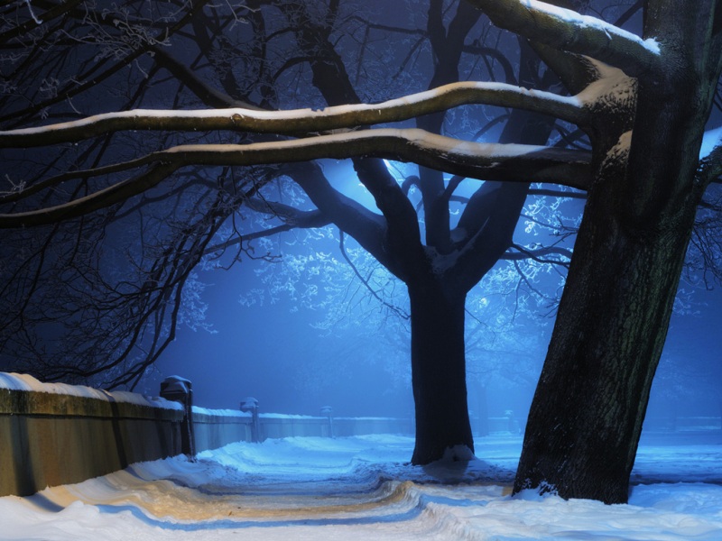 氛围感拉满！蓝调雪景林间小道电脑动漫壁纸