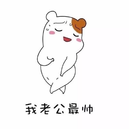 聊天斗图新素材：我老公好像丢了系列表情包