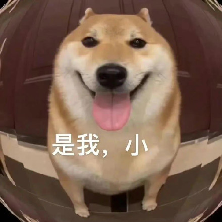 1月10日斗图表情包上新啦