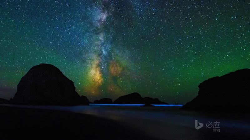 俄勒冈塞巴斯蒂安州立公园夜景壁纸来了 繁星配闪着光的海水太绝了