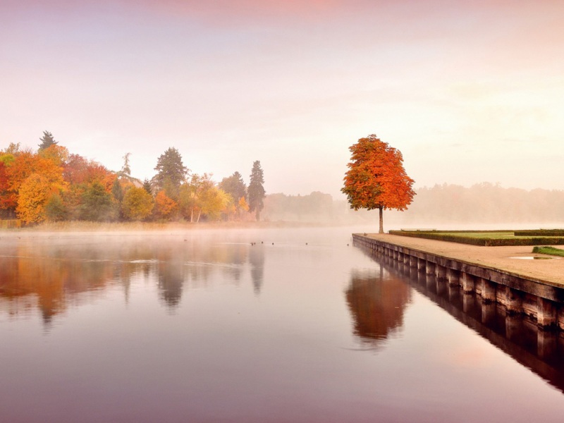 秋日湖景树木壁纸推荐