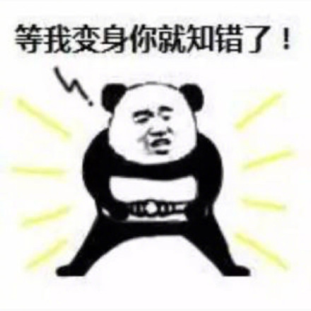 熊猫头功夫警告表情包来啦！休得放肆，来斗图