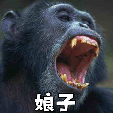 情侣日常互动表情包：娘子&啊哈系列