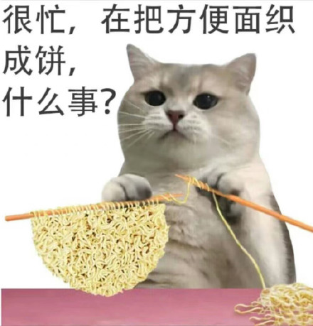 这套猫猫很忙表情包，梗点笑到打鸣
