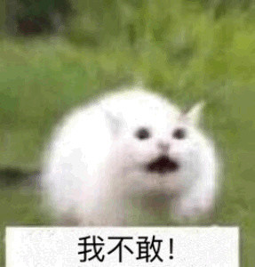 群主的反击表情包合集