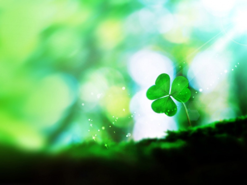 幸福三叶草电脑桌面动漫壁纸下载推荐