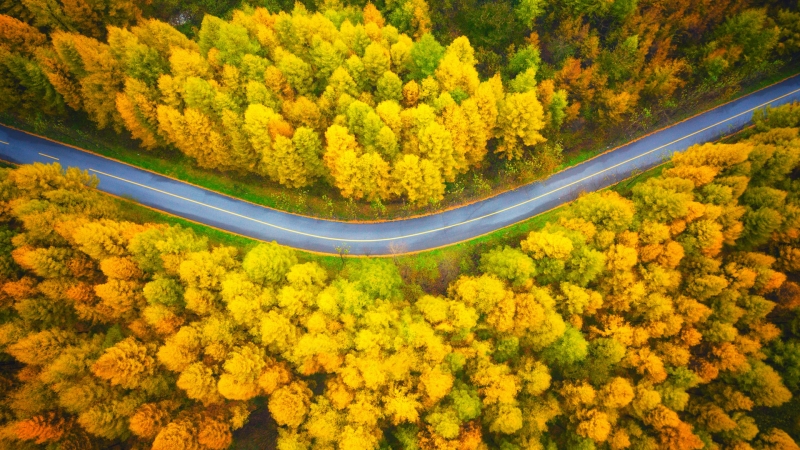 超实用！秋日俯瞰公路风景电脑壁纸合集来啦