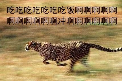 开饭啦！快喊上搭子一起冲这组表情包