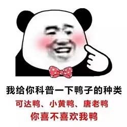 靠这套熊猫头土味情话表情包，撩妹撩汉直接拿捏