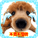 妹子斗图必备！这套软萌小动物表情包赶紧收好