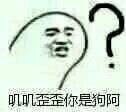 吵架怼人能用的表情包合集