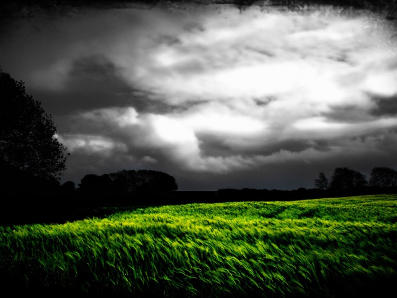 氛围感拉满！暗色风光电脑动漫桌面壁纸合集