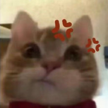 超火歪嘴小猫表情包合集，斗图必备