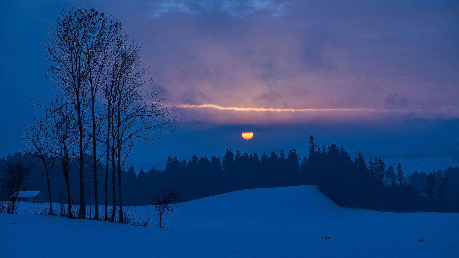 冬日落日雪林绝美电脑动漫壁纸