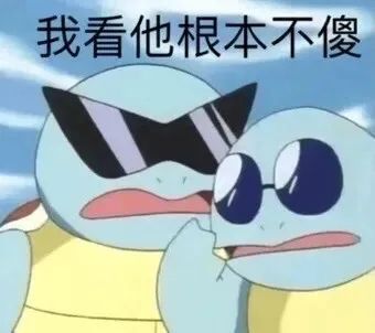 聊天斗图必备！杰尼龟表情包合集来啦