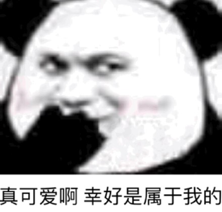熊猫头斗图表情包合集来啦，快来存图