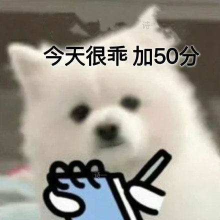 拿捏情侣日常的扣分小狗表情包火了