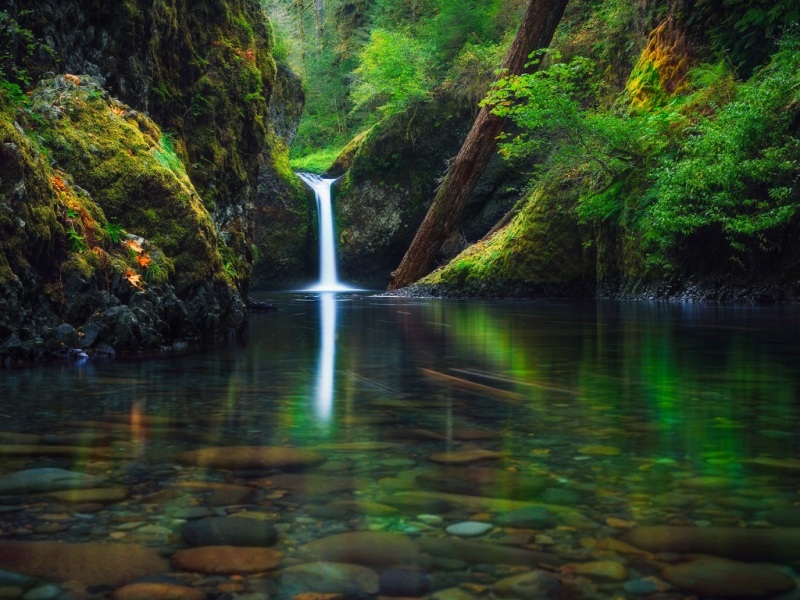 清爽治愈！这款森林瀑布风景壁纸适配多款电脑屏幕