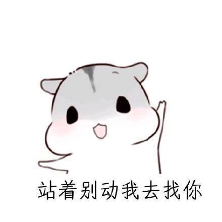 用仓鼠表情包教你怎么哄女朋友开心