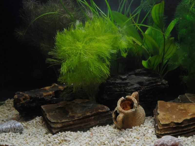 好看的海底风景电脑桌面壁纸来了