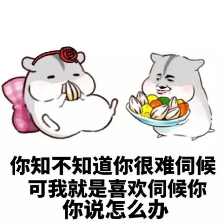 专为哄女朋友准备的表情包合集
