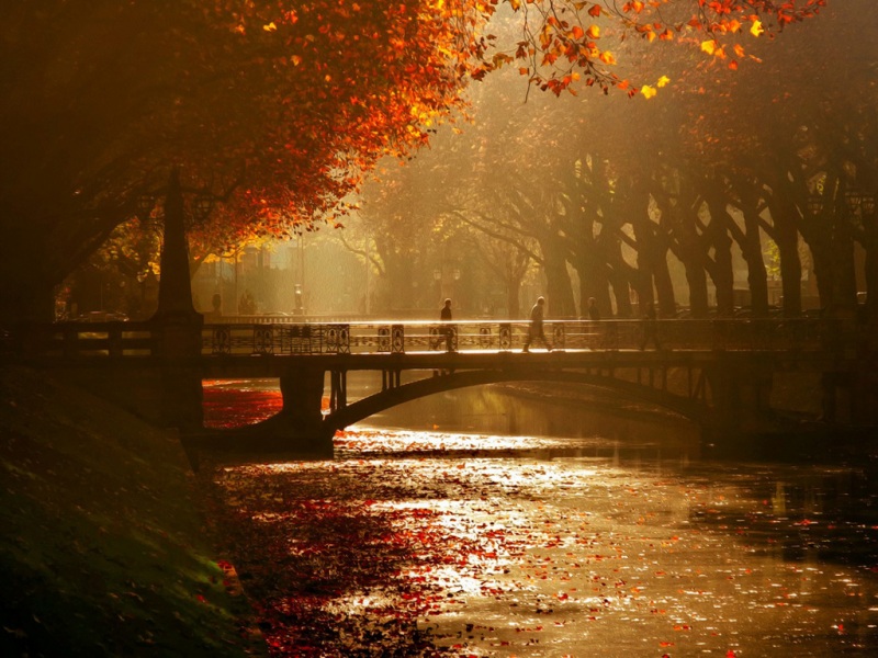 杜塞尔多夫皇家大道桥城市风景壁纸