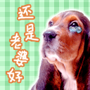 妹子斗图必备！这套软萌小动物表情包赶紧收好