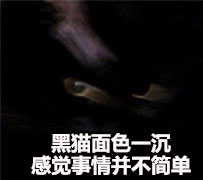 气得我都糊掉了 热门斗图表情包合集