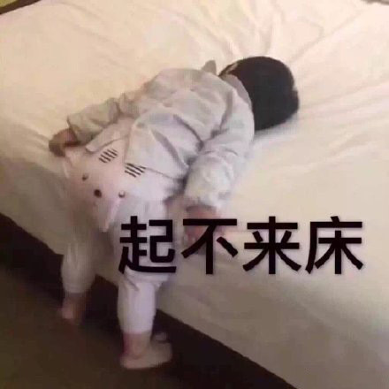 最近聊天总在用的斗图表情包合集