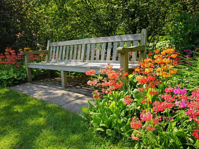 夏天护眼绿色公园风景 可直接当电脑桌面的壁纸