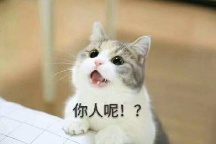 超甜！这套“老公老公我爱你”表情包太适合撩喜欢的人了