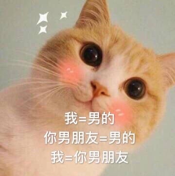 那就这样说好啦，我就是你女朋友啦 撩妹套路表情包合集
